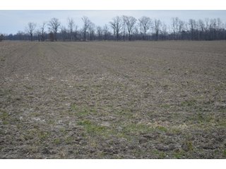 Property photo 25 - 175 Acres Offered in 5 Tracts - Tontogany, Ohio Farm Land Auction